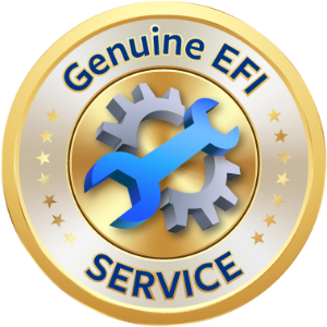 Genuine EFI Service